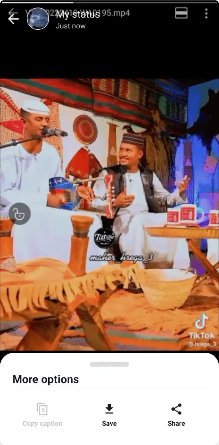 GBWhatsApp — لقطة شاشة 6